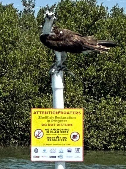Backwater Cat Adventure-棕榈海岸必去景点