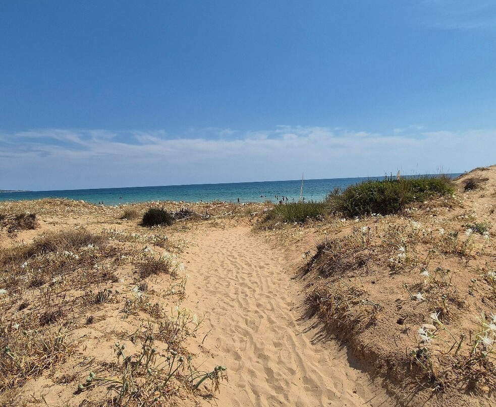 Flota La Spiaggia-Marina di Pescoluse必去景点