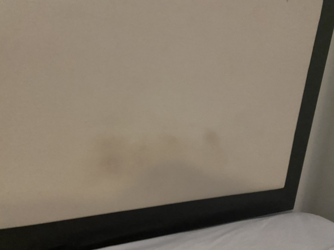 Holiday Inn Express & Suites Beeville by IHG主图