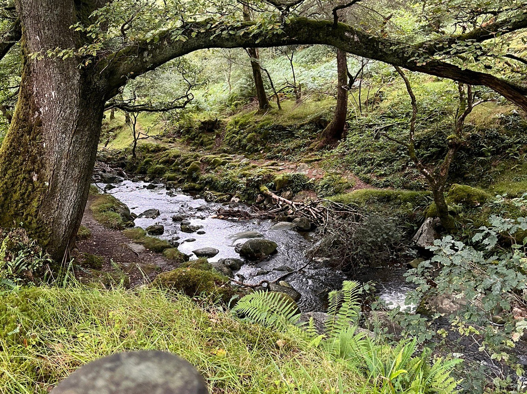 Glendalough Visitor Centre-Glendalough Village必去景点