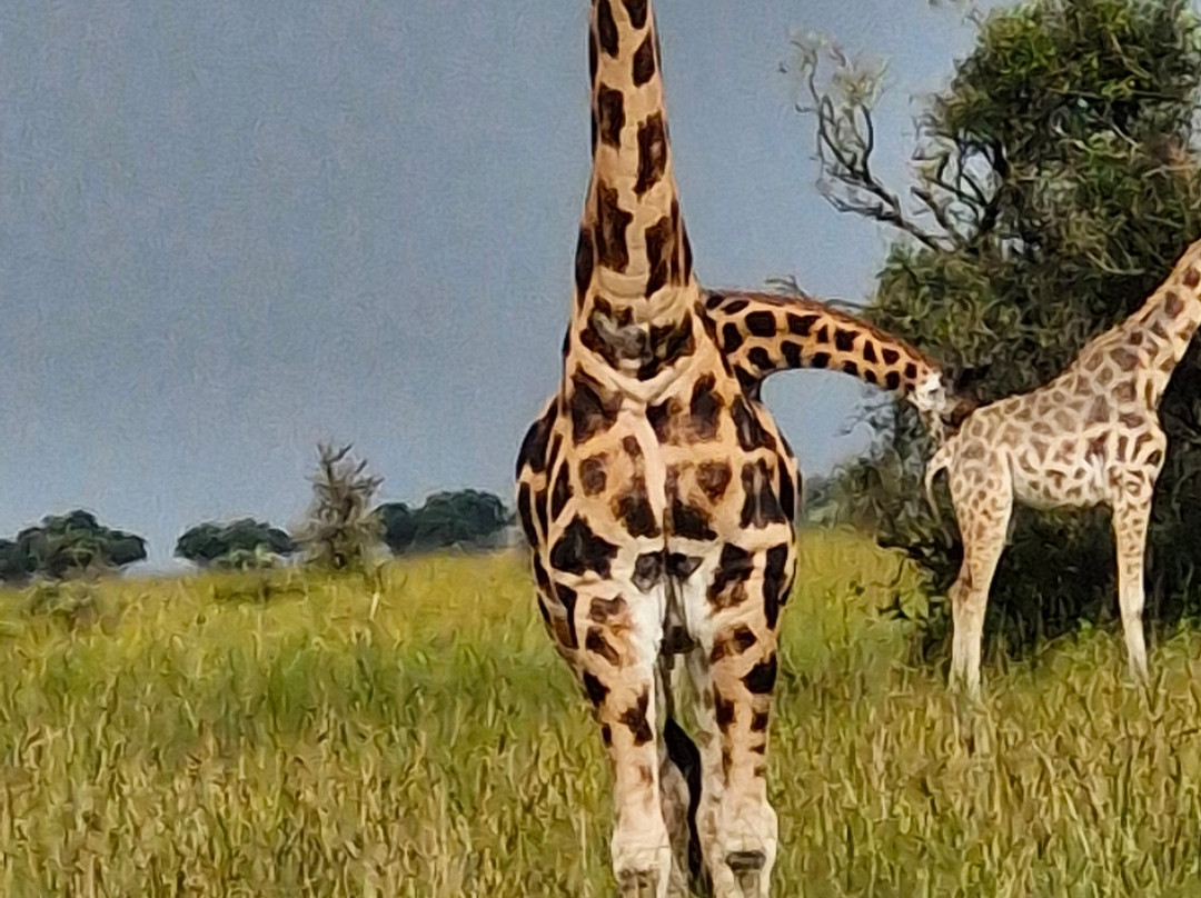 Ngoni Safaris Uganda-坎帕拉必去景点