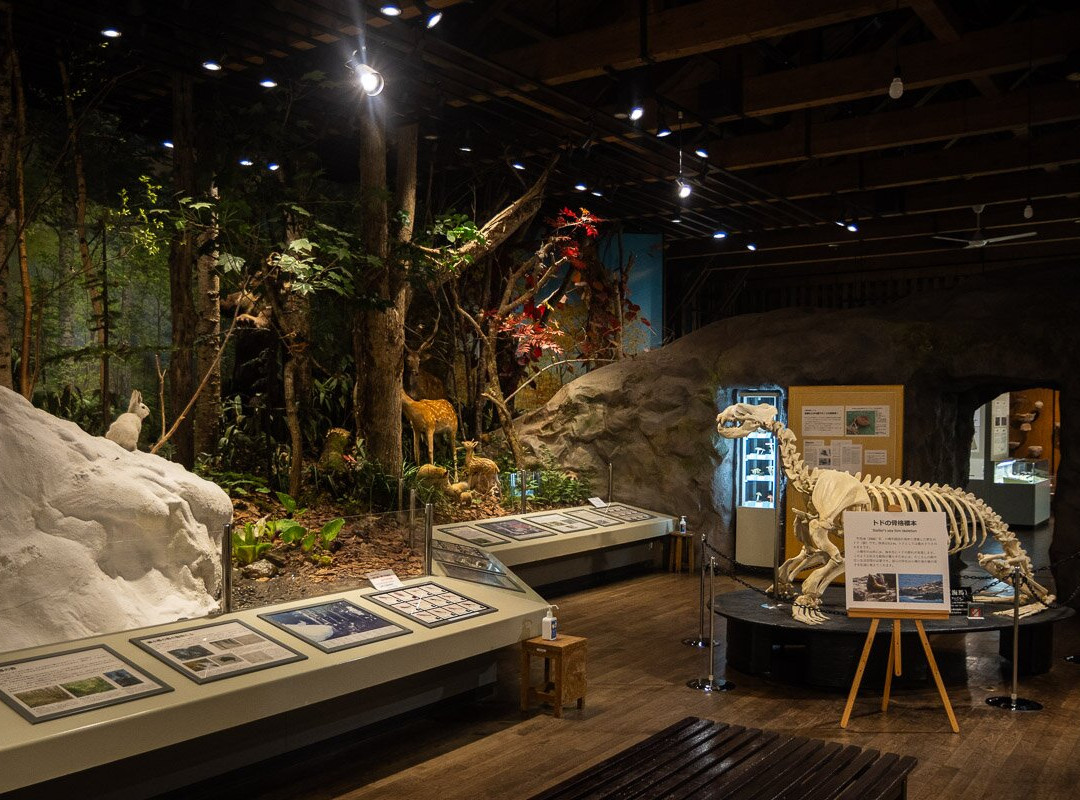 Otaru City General Museum Ungakan-小樽市必去景点