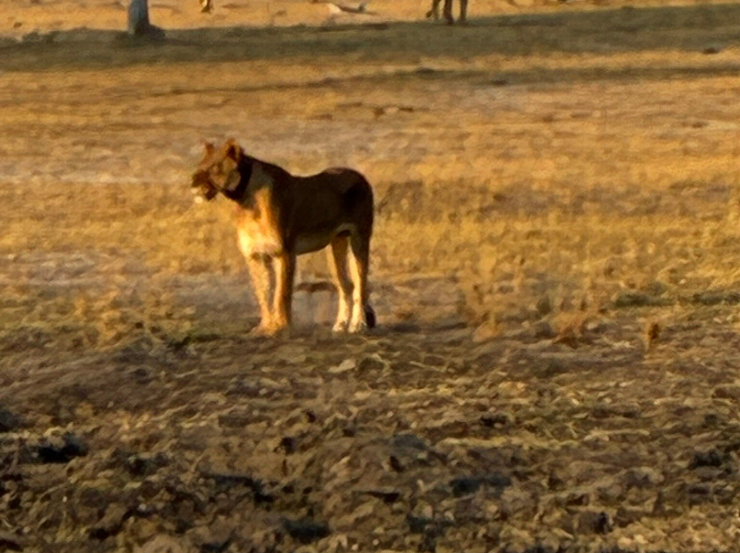 Camelthorn Lodge主图