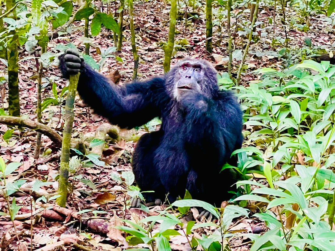 Wild Untouched Adventure-恩德培必去景点
