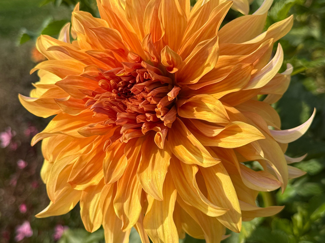 Hinton Ampner House and Garden-Hinton Ampner必去景点