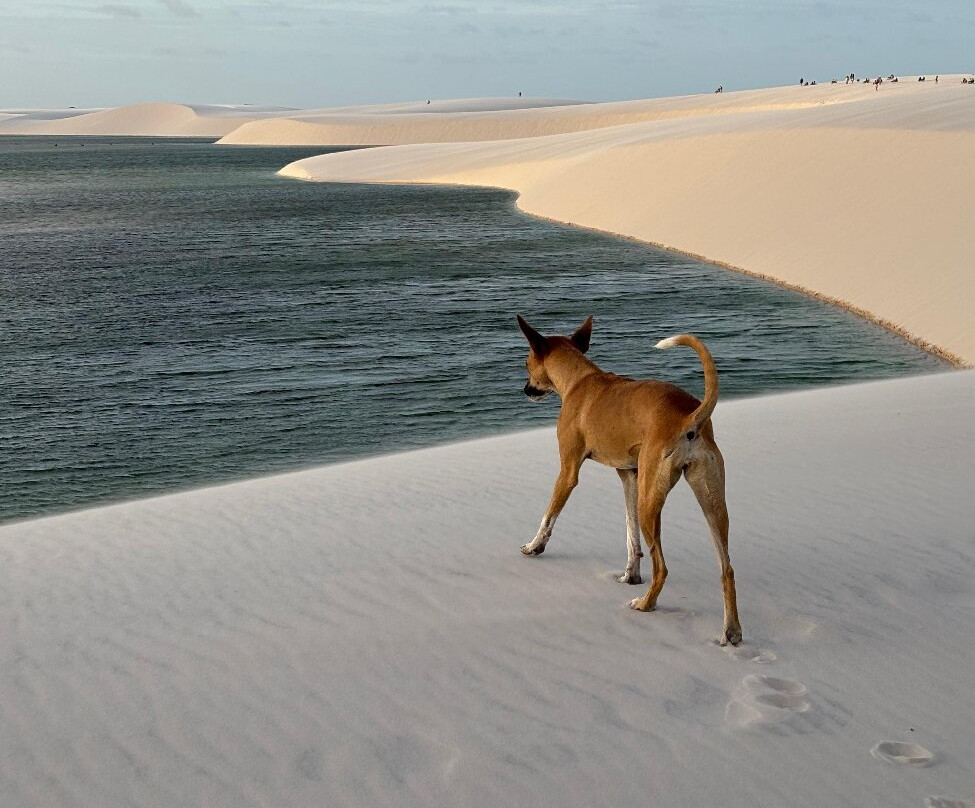 Lagoa das Americas-Santo Amaro do Maranhao必去景点