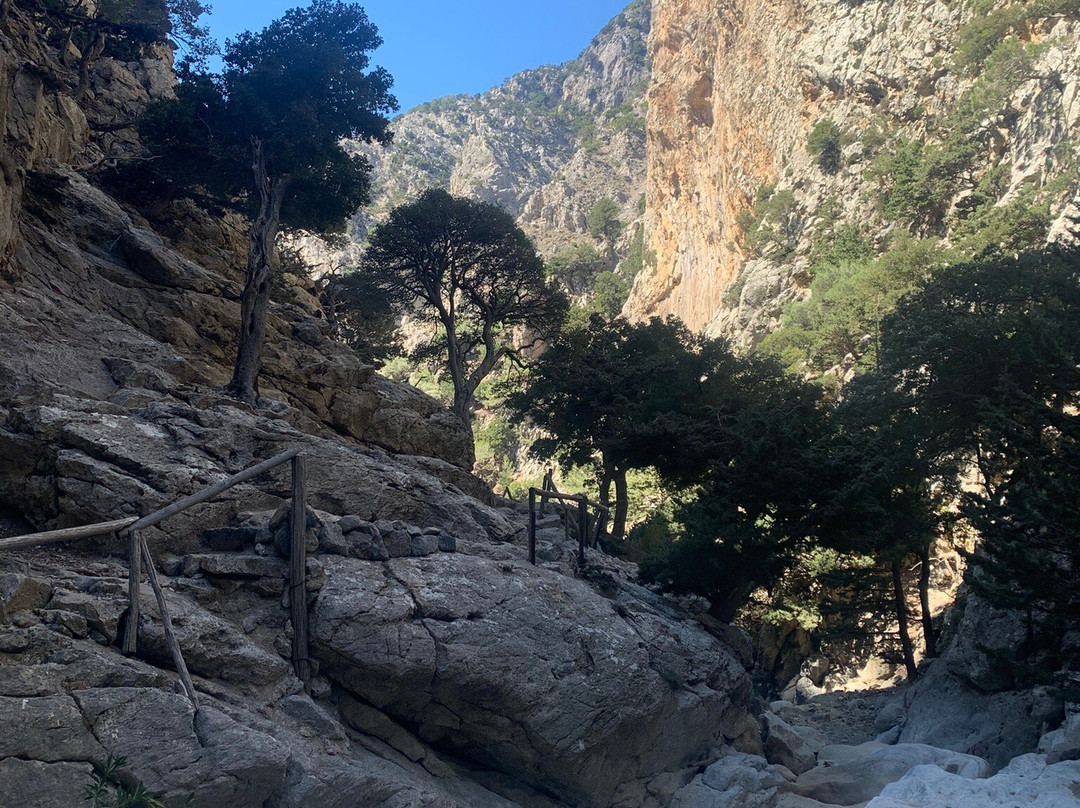 Rouvas Gorge (Agiou Nikolaou)-Zaros必去景点