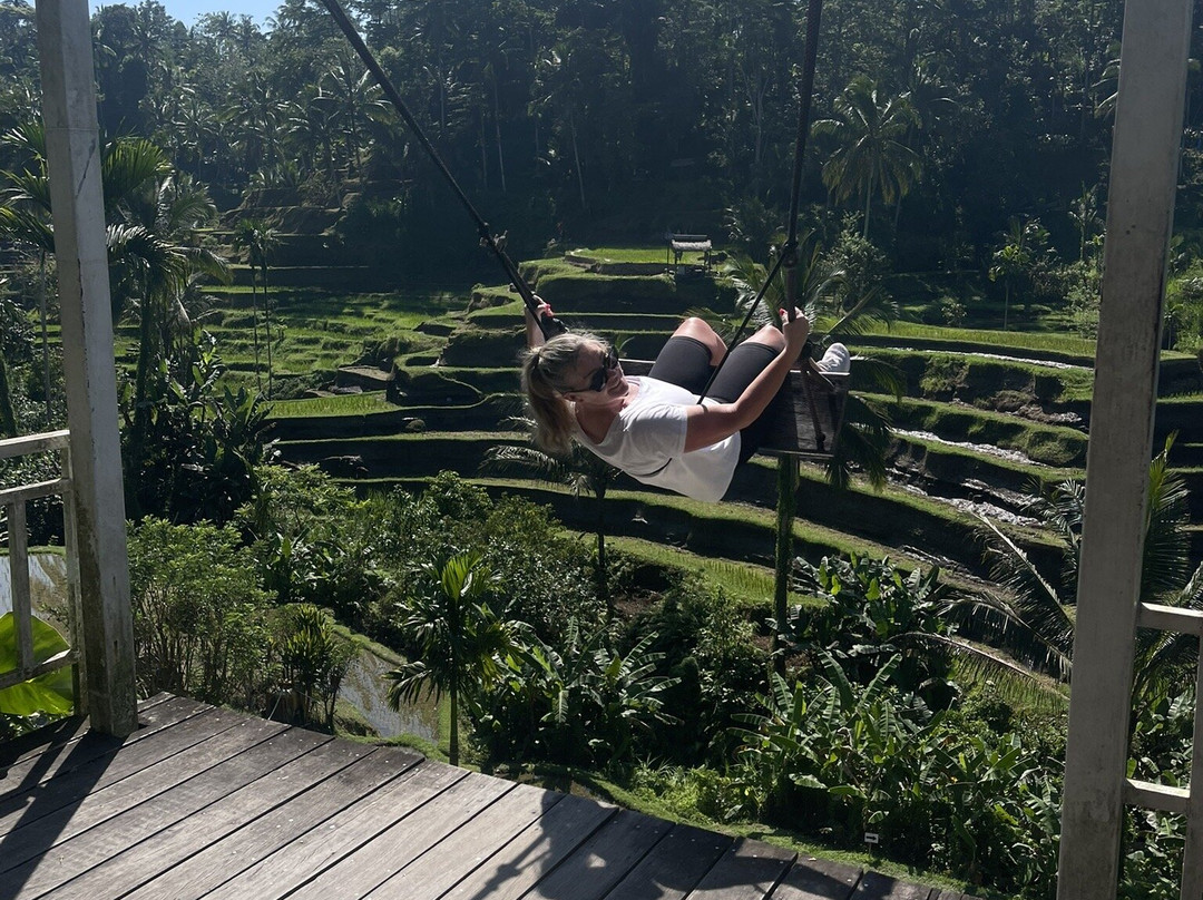 Green Bikes Bali e-bike tours Ubud-Mambal必去景点