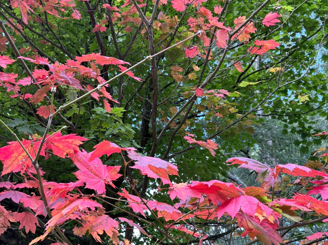 Nymans Gardens and House-Haywards Heath必去景点