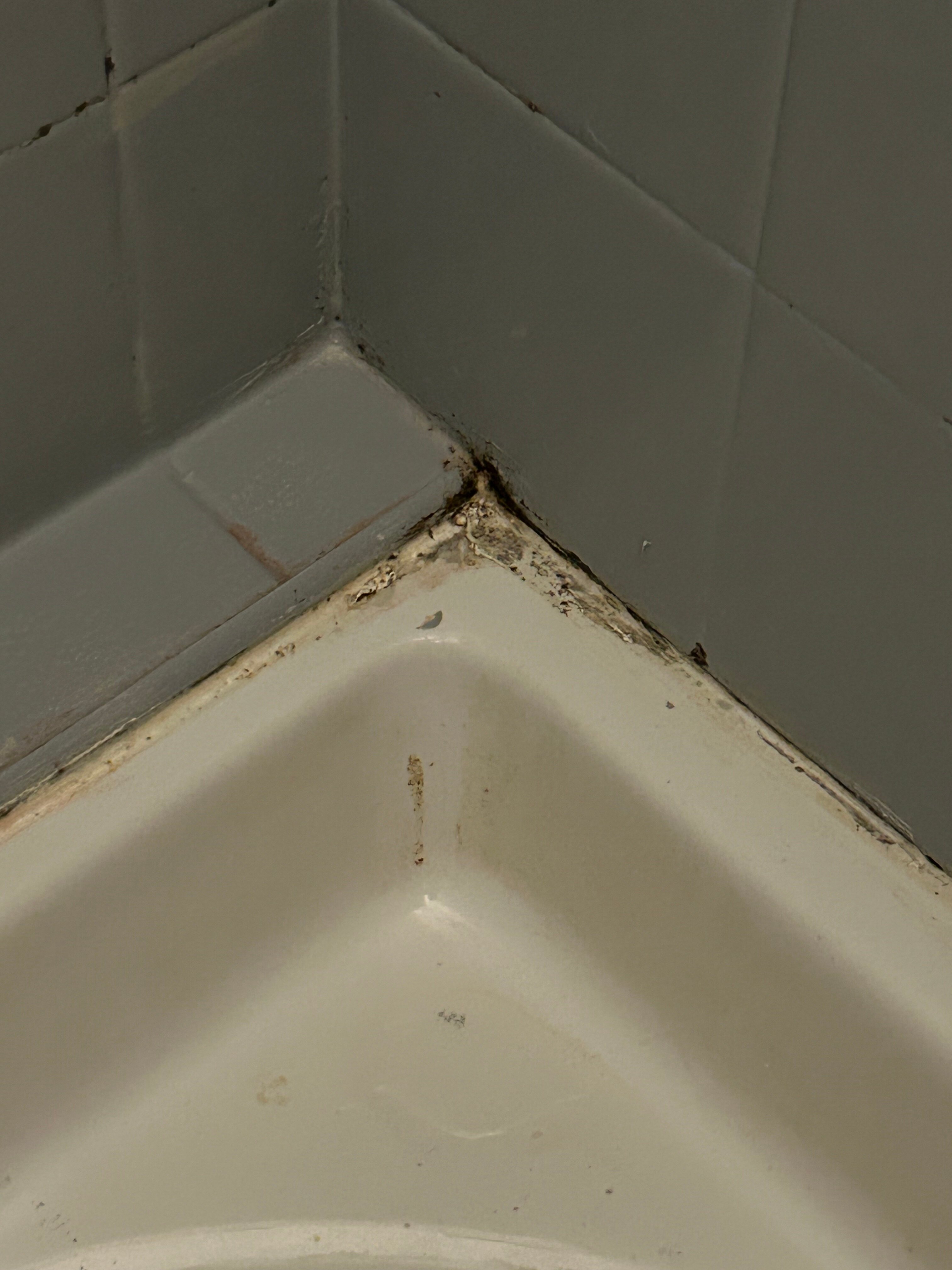 Hotel du Chateau-浴室