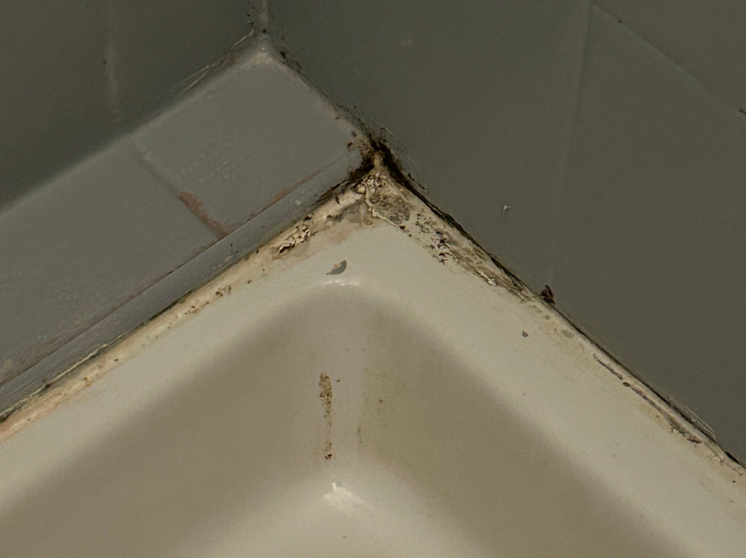 Hotel du Chateau主图