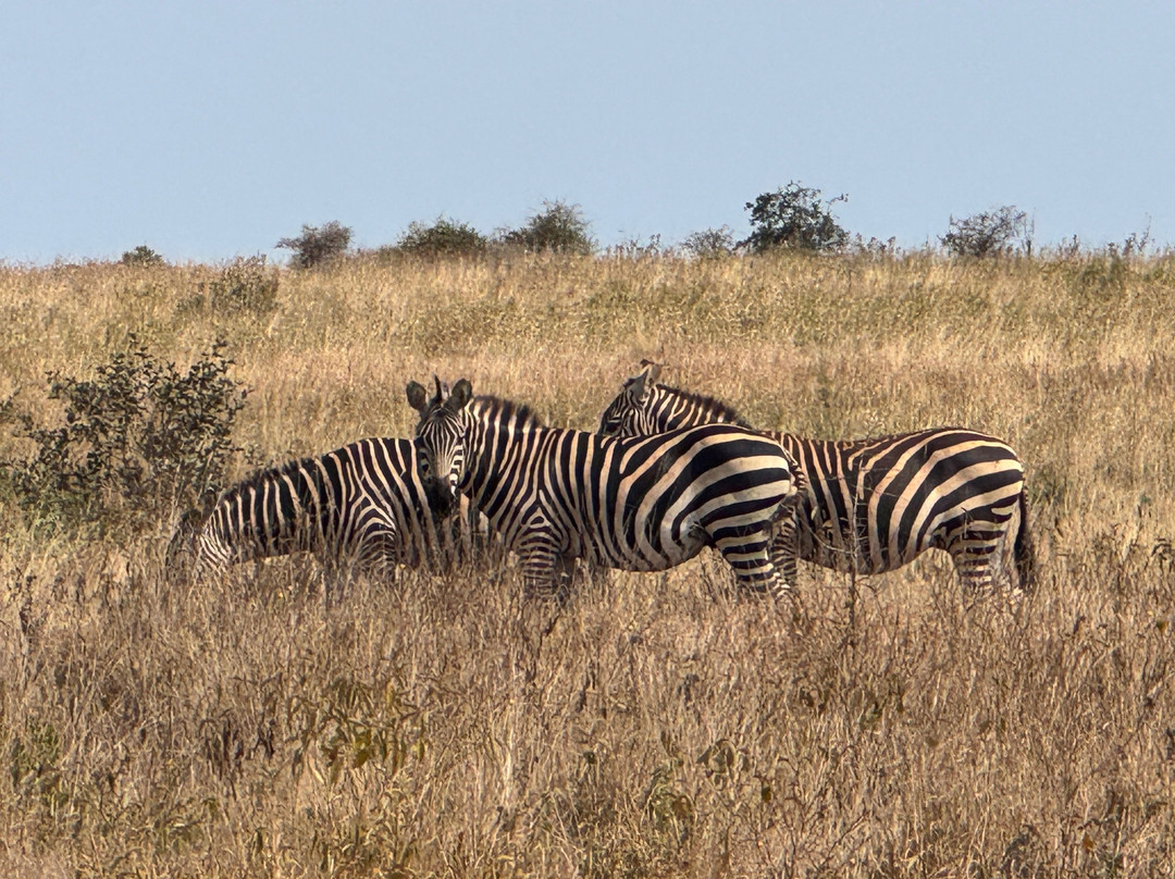 Beppe Watamu-瓦塔木必去景点
