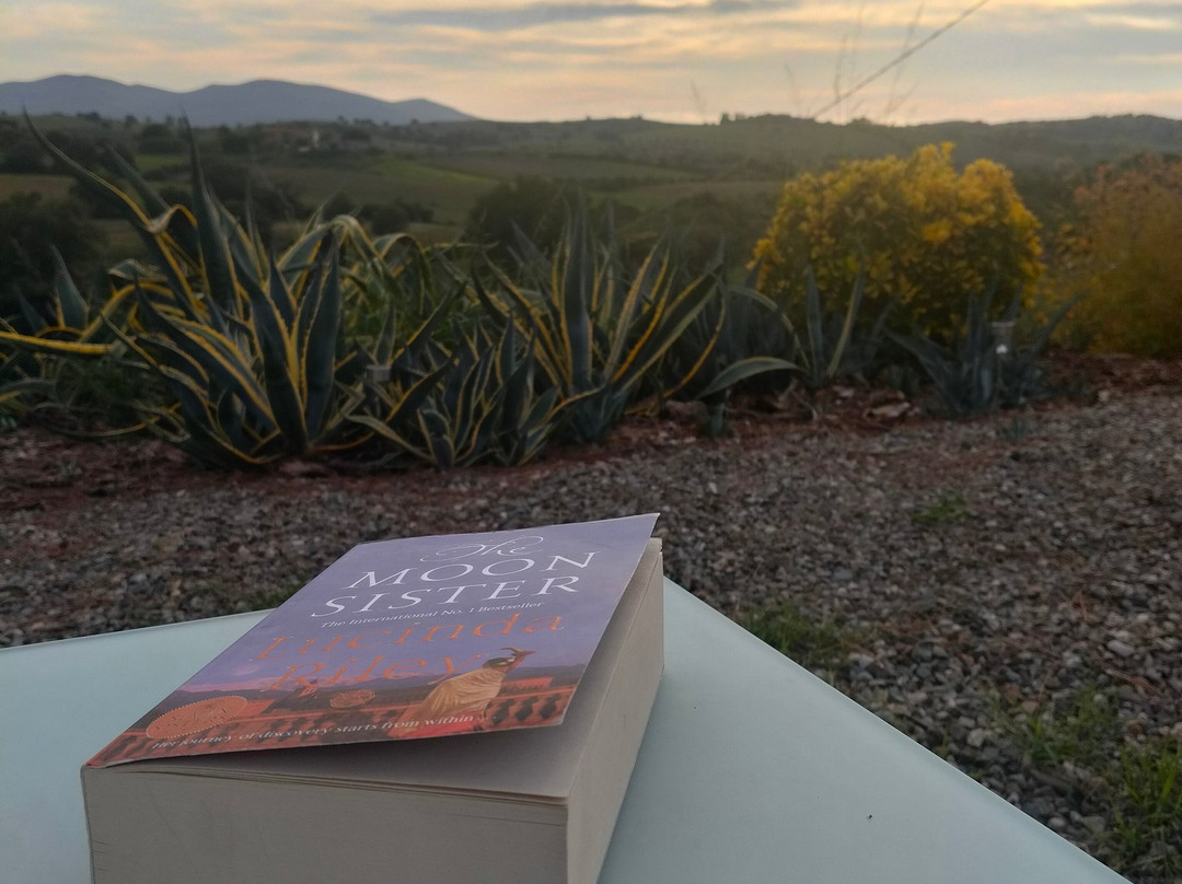 Agriturismo Lo Scalandrino主图