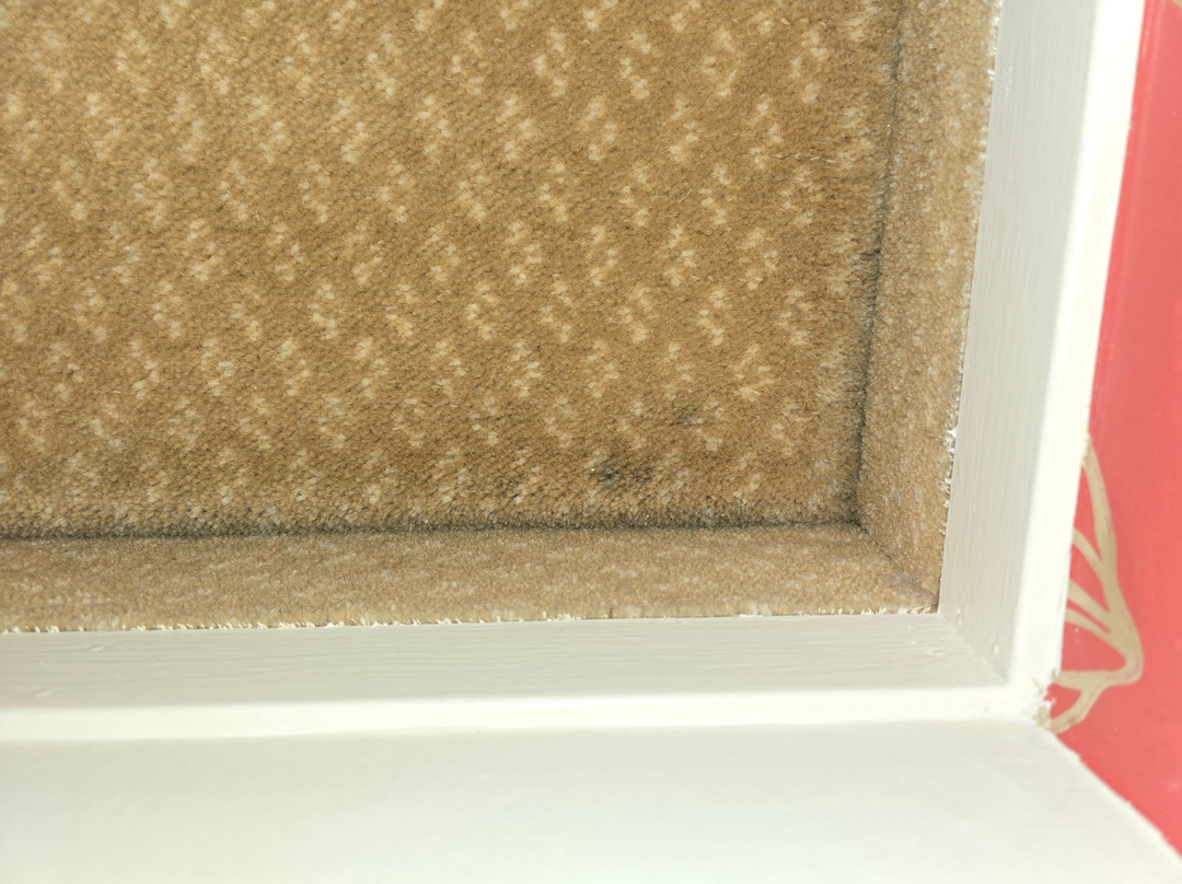 经典希克史泰德酒店主图