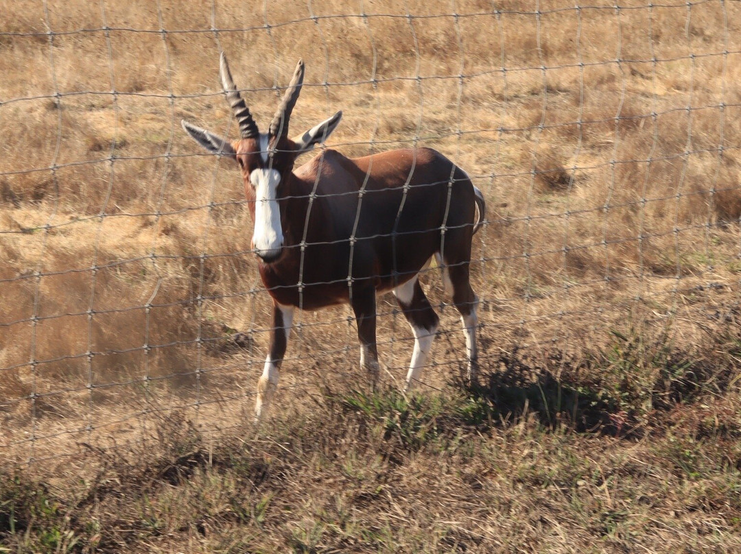 B Bryan Preserve-Point Arena必去景点