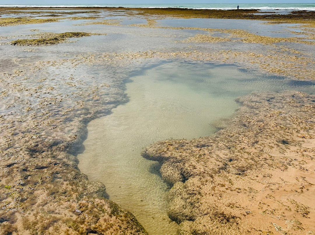 Praia Taipu de Fora-Marau必去景点