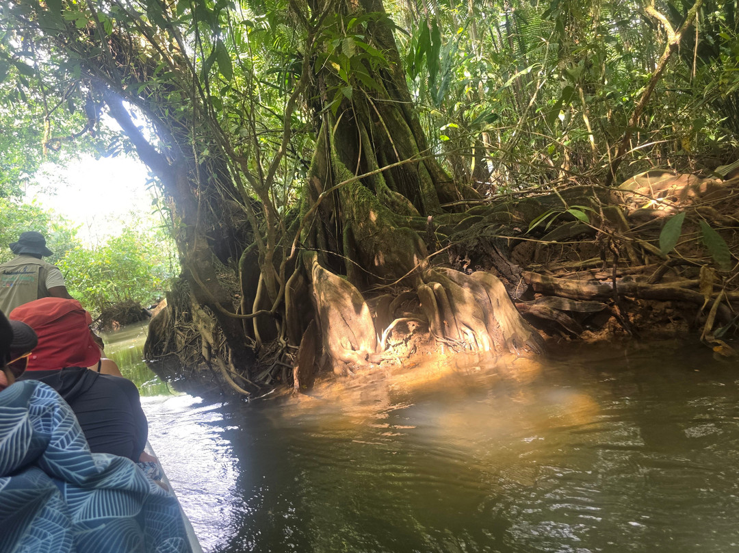 Tundo Tours-Bahia Solano必去景点