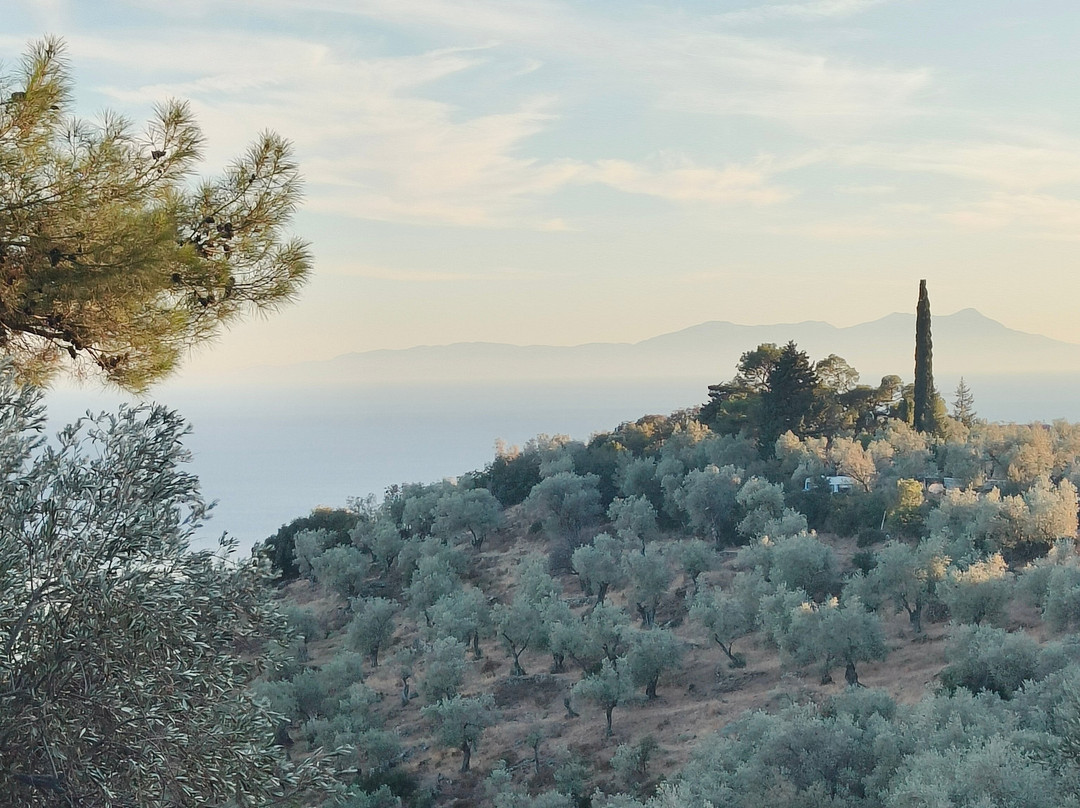 Eirini Plomariou-Plomari必去景点