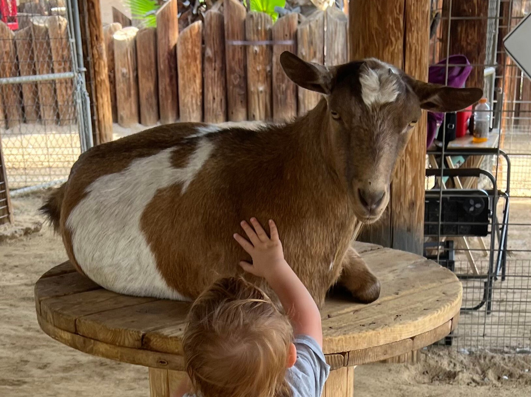 Wildlife World Zoo and Aquarium-Litchfield Park必去景点