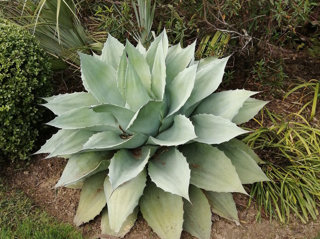 Jardin Des Barthes-Saubrigues必去景点