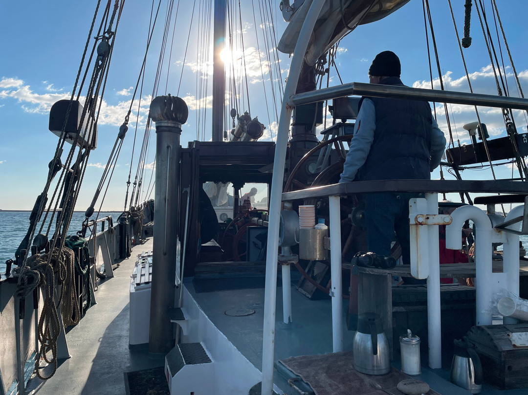 Moonfleet Adventure Sailing-Isle of Portland必去景点