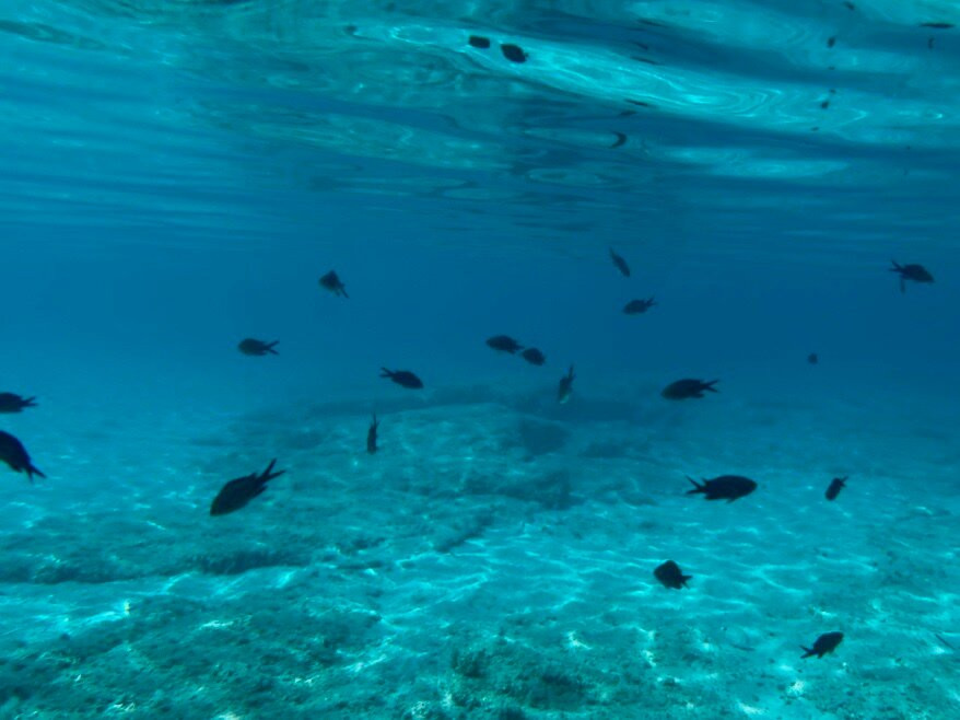 Lago Seaside Experience-Paliouri必去景点