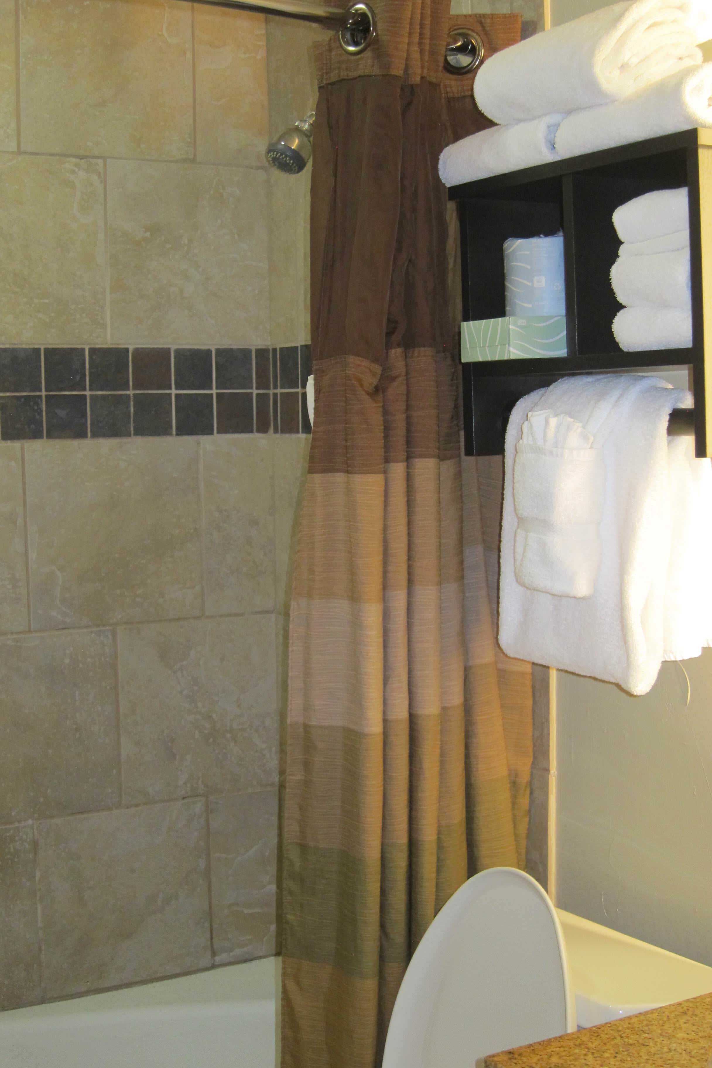 State Game Lodge-浴室