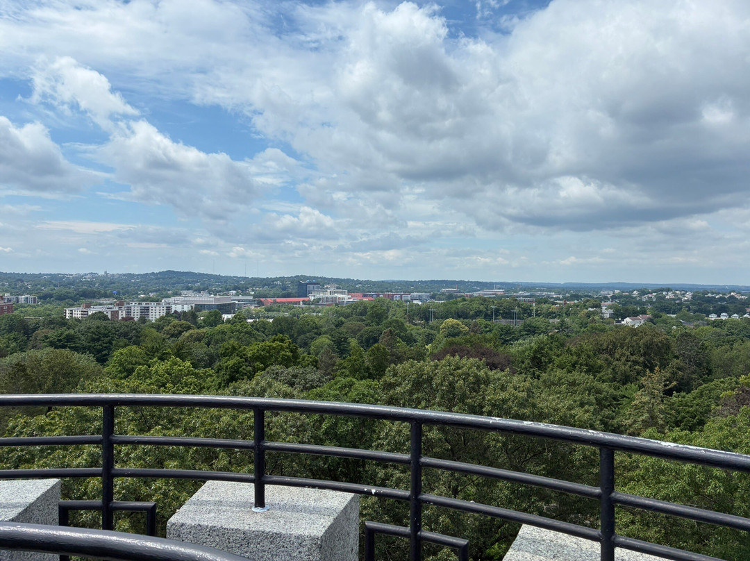 奥本山公墓公园-剑桥必去景点