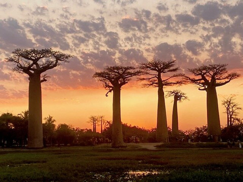 Tahina Aventuriers Madagascar-安塔那那利佛必去景点