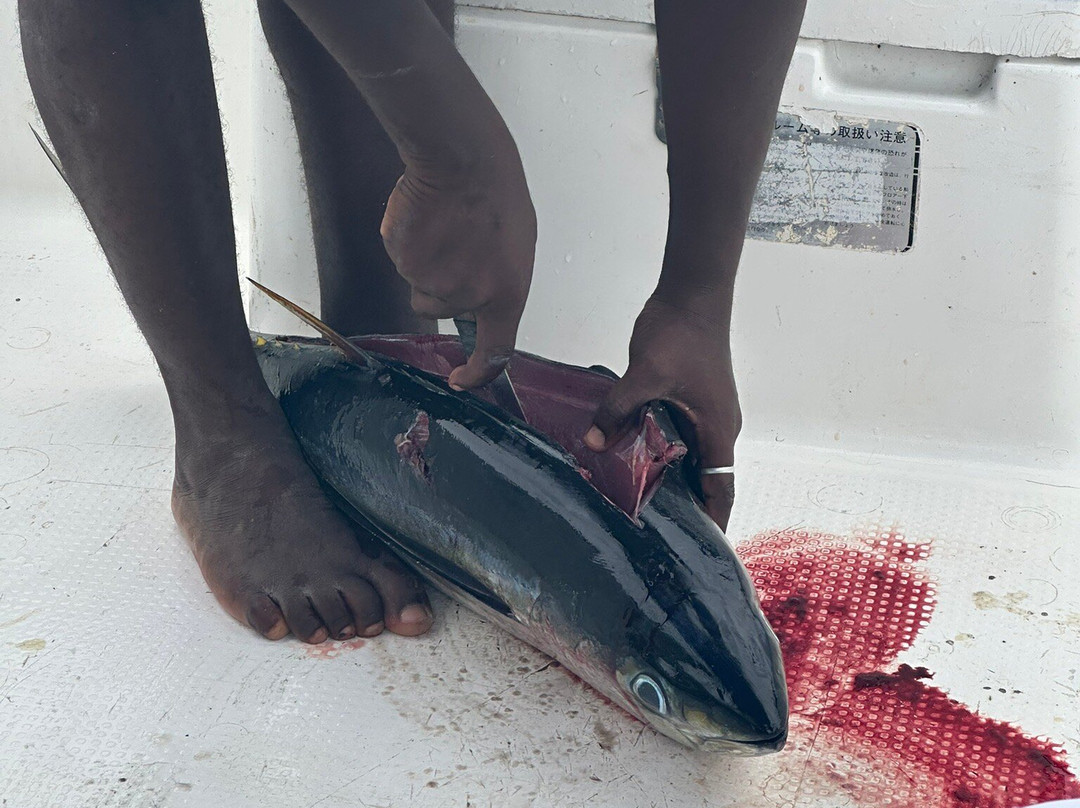 Panamwe Tours & safaris-Pwani Mchangani必去景点