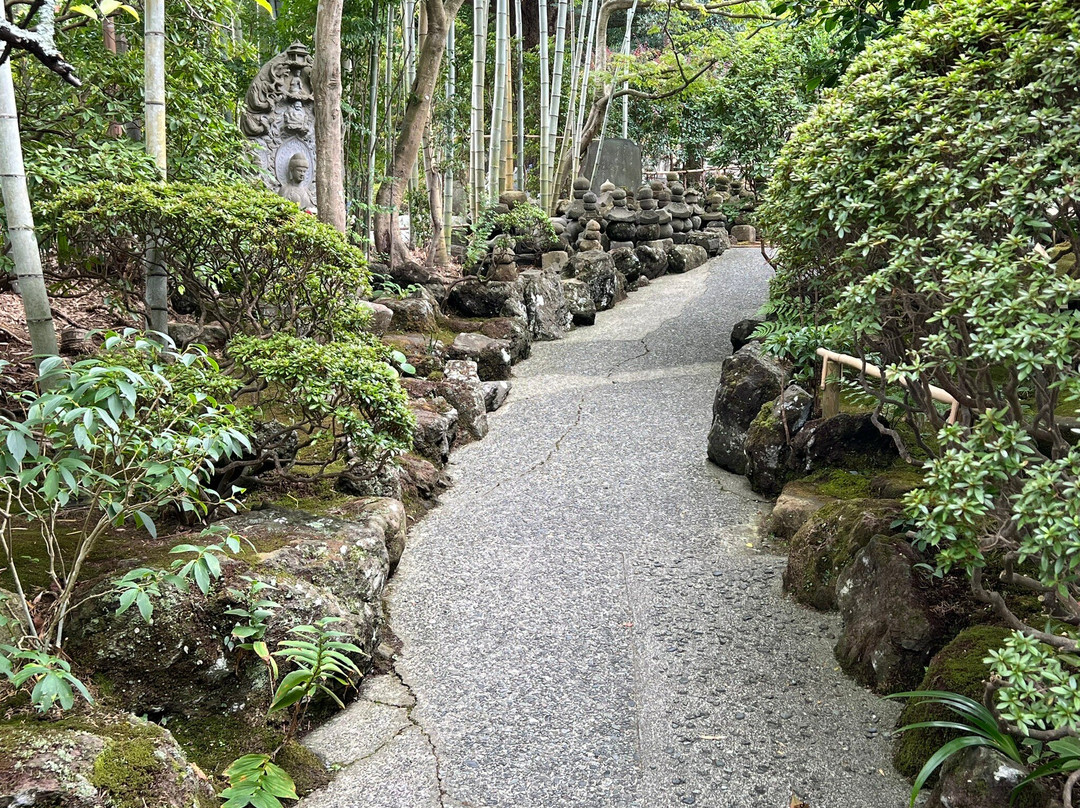 Hokoku-ji Temple Bamboo Grove-镰仓市必去景点