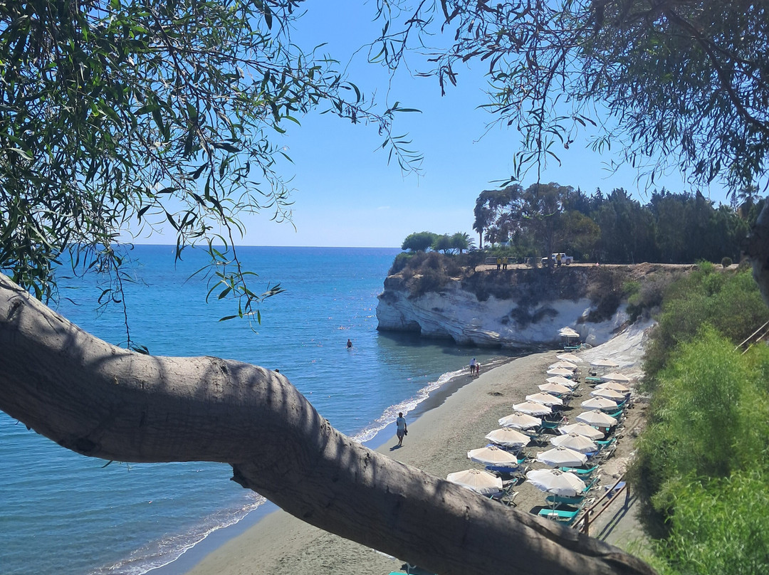 Stratos ArtDeco House主图