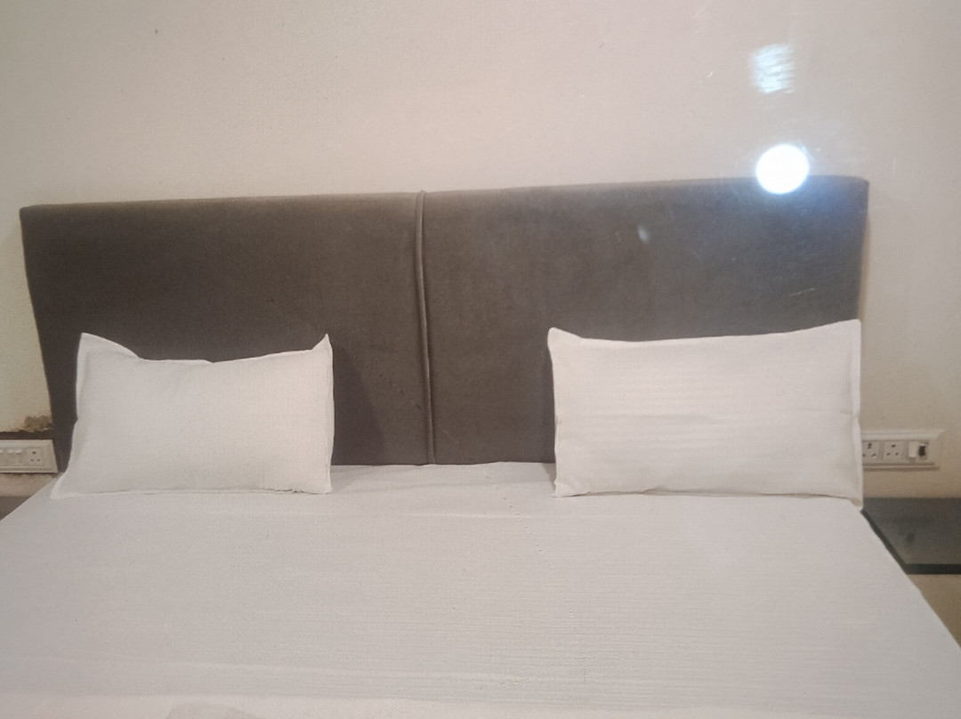 Shree Radhe Inn Near Ram Janam Bhumi