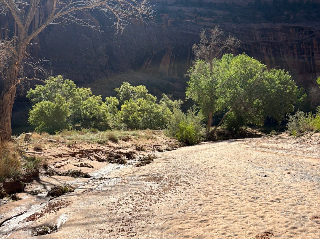 Antelope House Tours-Chinle必去景点