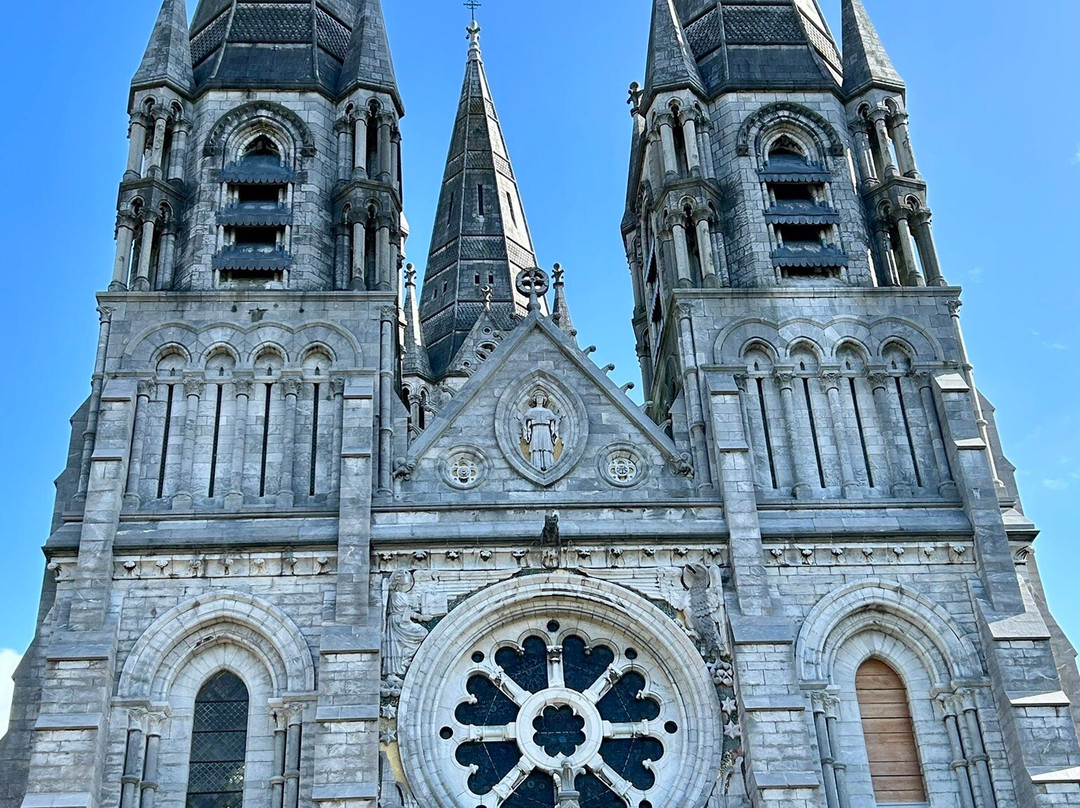 St Fin Barre's Cathedral-科克必去景点