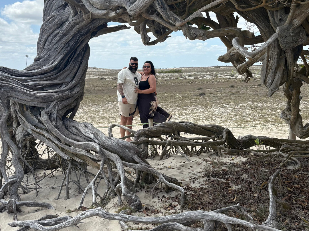 Jeri Adriano Passeios-杰里科科拉必去景点