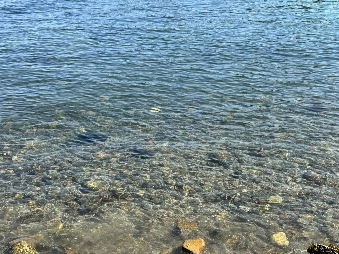 Tidal Falls Preserve-Sullivan必去景点