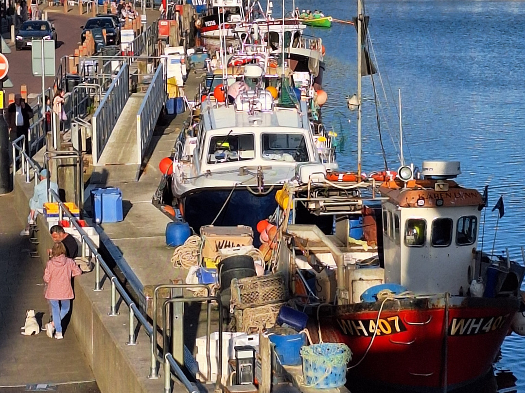 Weymouth Harbour-韦茅斯必去景点