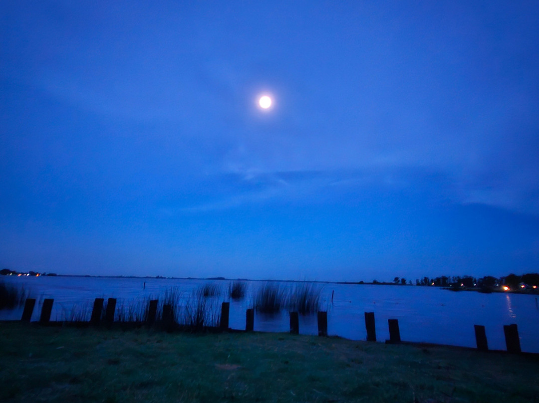 Laguna de Lobos-Lobos必去景点