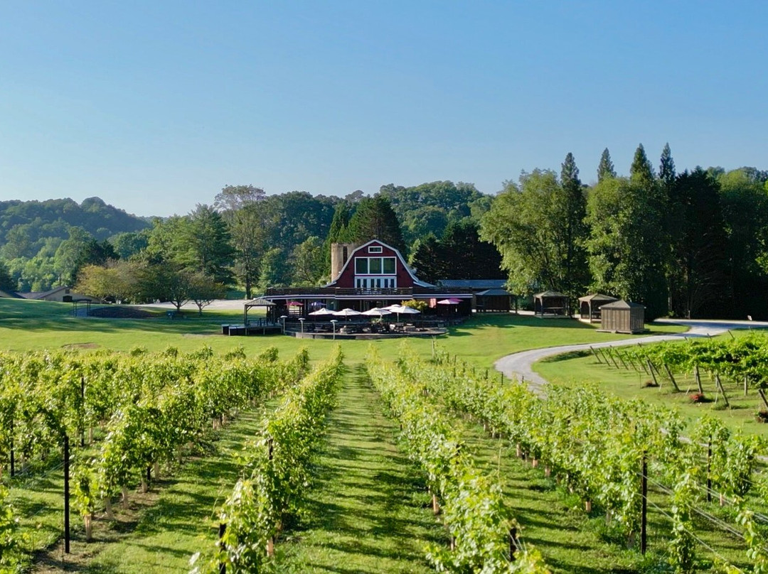Tiger Mountain Vineyards-Tiger必去景点