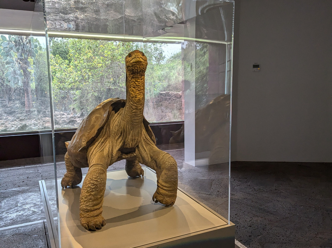 Estación Científica Charles Darwin-阿约拉港必去景点