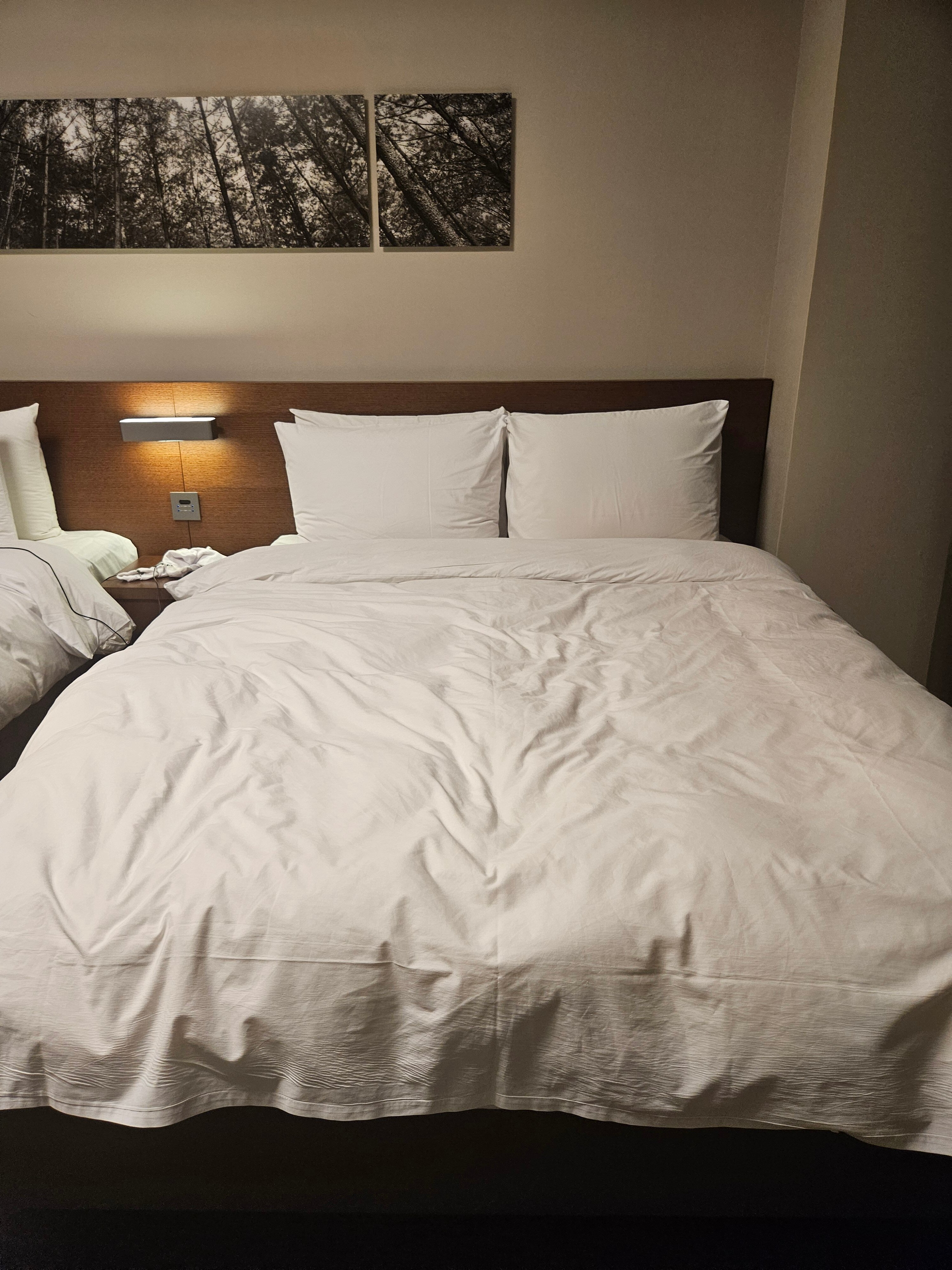 Bloomvista Hotel & Conference-官方