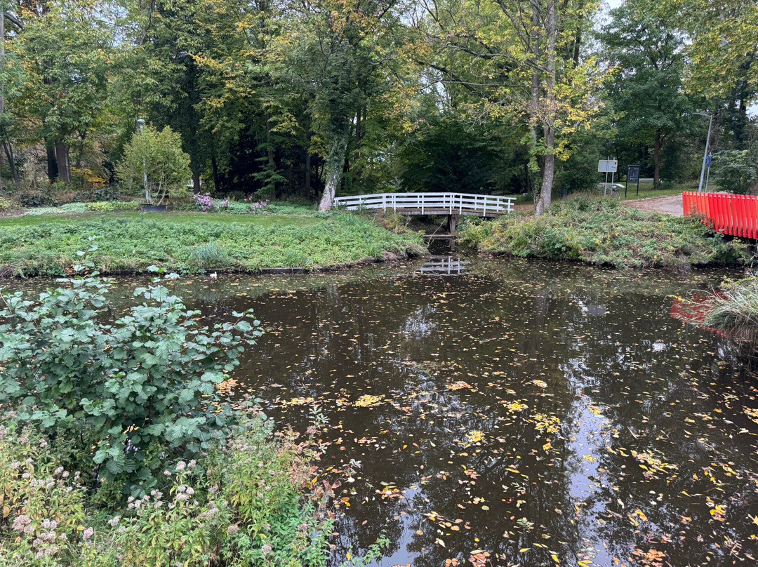 Kinderboerderij De Boerenzwaluw-霍夫多普必去景点