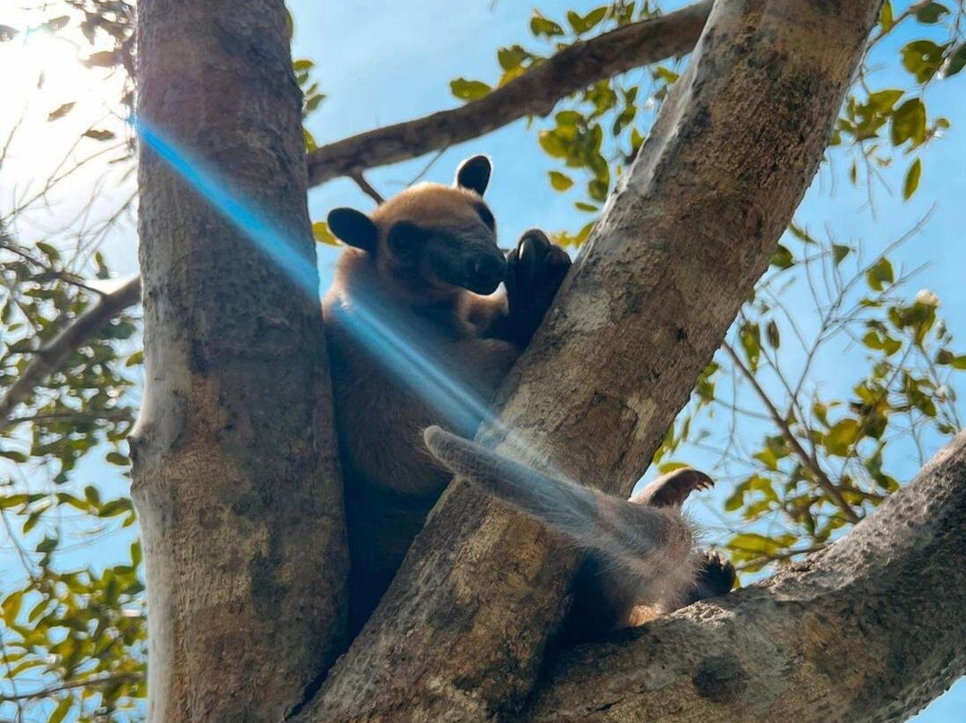 Reserva Natural Hato El Boral-San Luis de Palenque必去景点