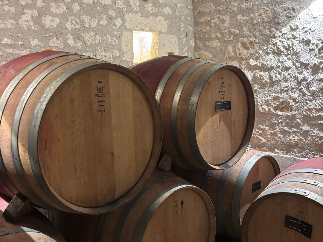 Domaine Charles Joguet-Sazilly必去景点