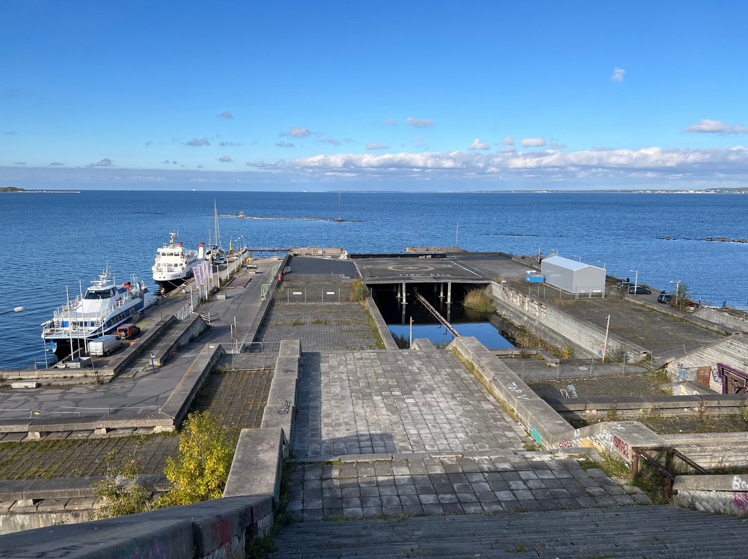 Travelling Capybaras-塔林必去景点