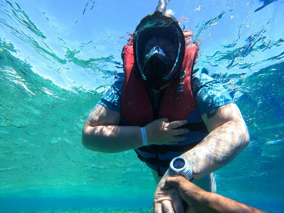 Sharm El Naga-Safaga必去景点