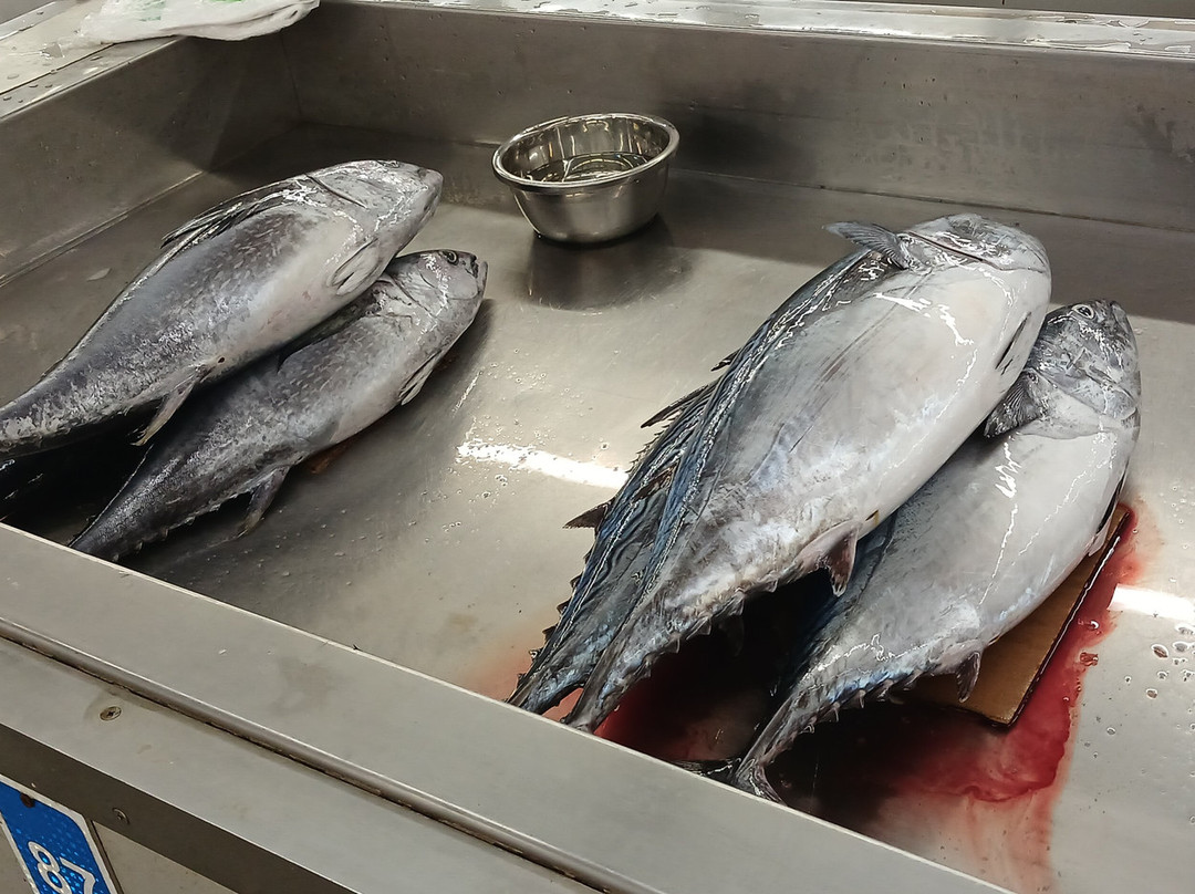 Mutrah Fish Market-马斯喀特必去景点