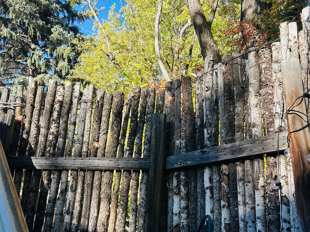 Adobe and Pines Inn B&B主图