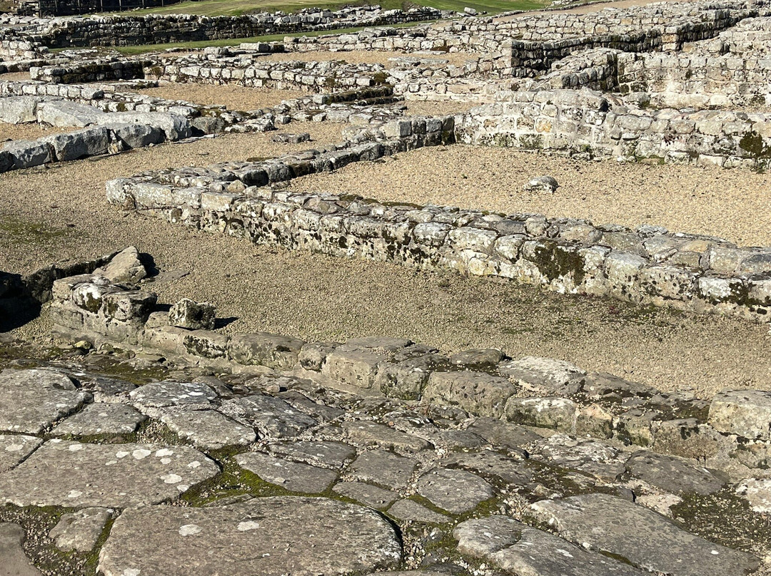 Vindolanda-赫克瑟姆必去景点